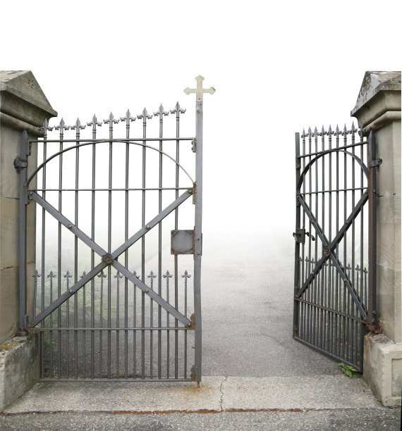 Swing Wrought Iron Electric Gates Powder Coated With ISO14001 Certified