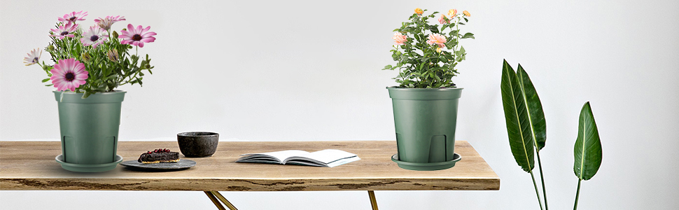 plant pots