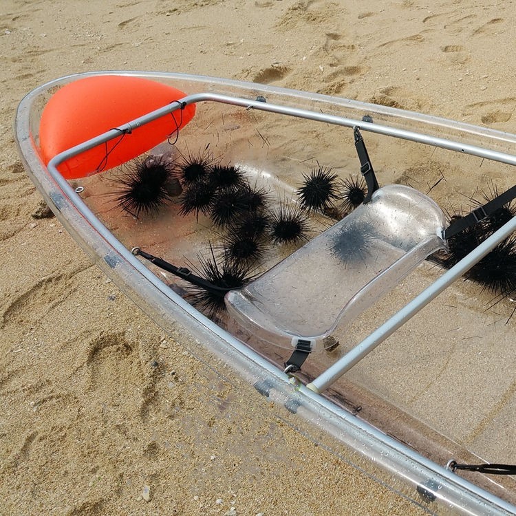 PC Floor Clear Boat Kayaking With Bottom / Surf Ski Kayak For Water Recreation