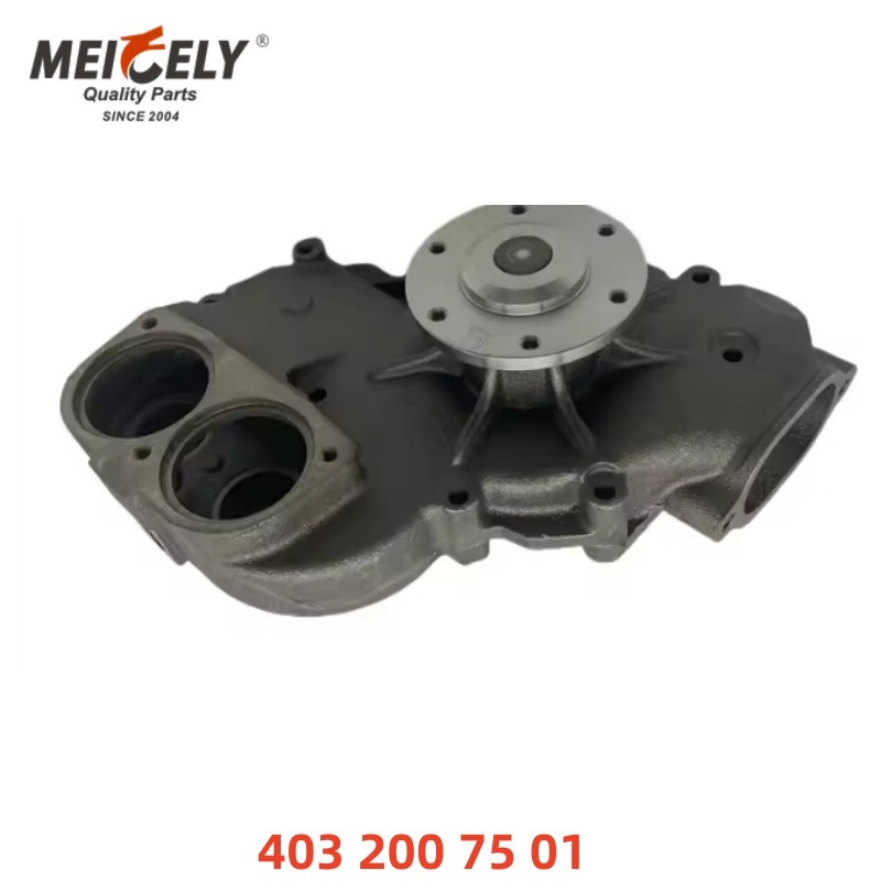 High-Quality Water Pump Engine Parts 4222001001 / 4222001101 For Merceds-Benz
