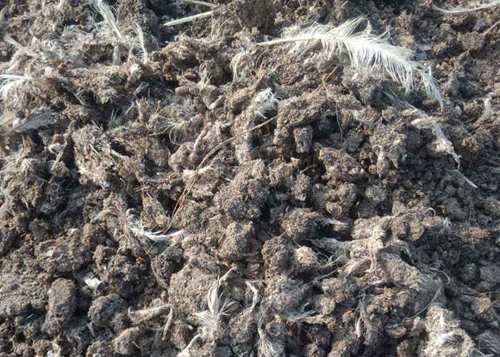 500-1800m3/H Cattle Manure / Chicken Manure Crawler Compost Turner Machine