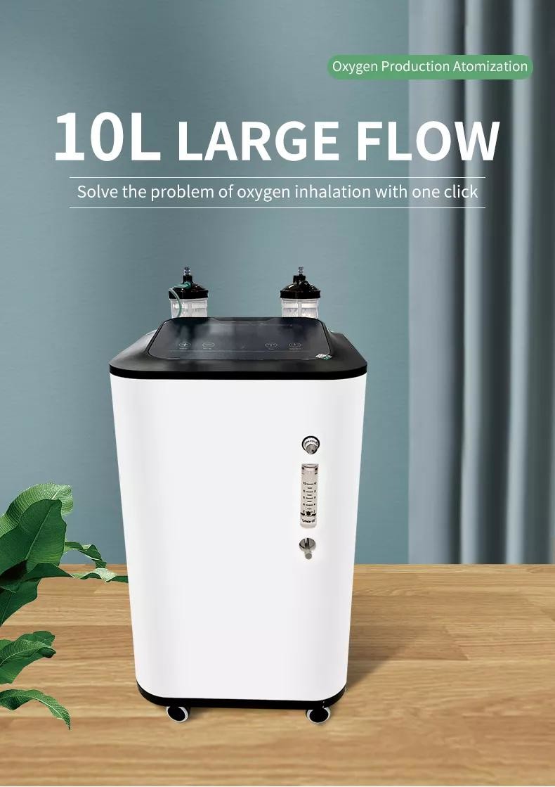 Physical Therapy 1 - 10L Oxygen Concentrator With Nebulizer And LED Screen