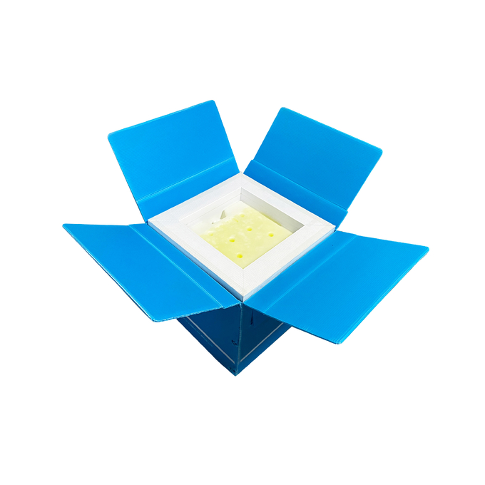 Ice Packs Included Transport Temperature Control VIP Insulation Cold Box