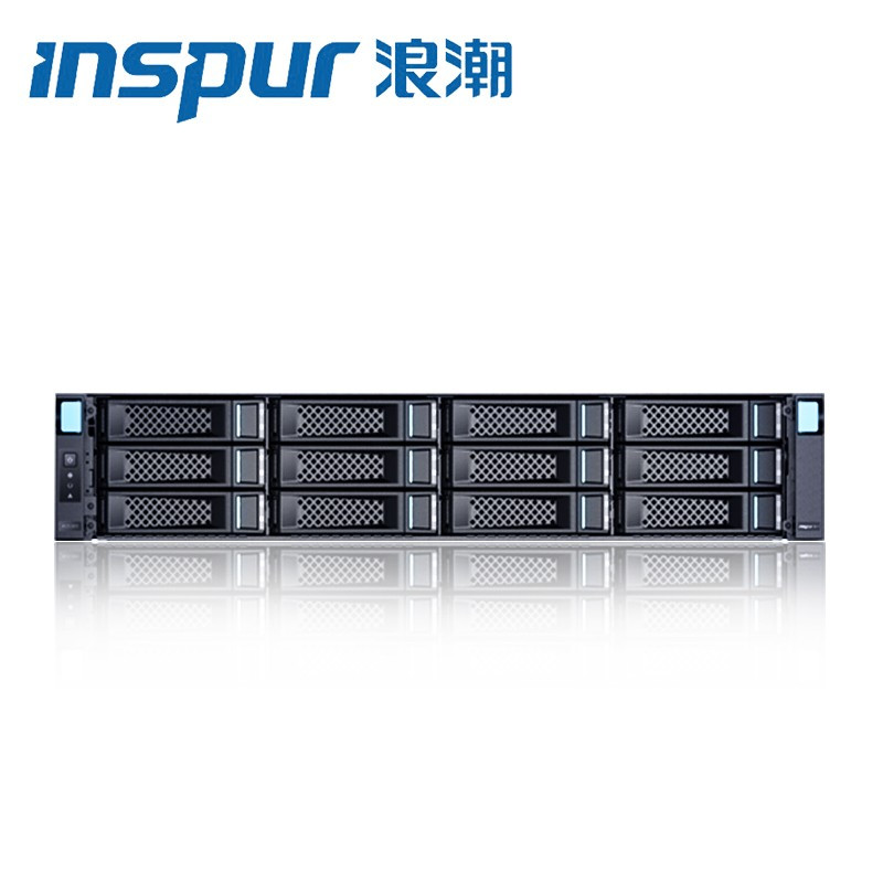 HDD 4T SAS 12Gbps 1U Inspur GPU Server Computer Storage AS2200G2