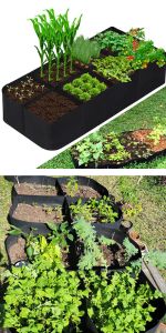 Raised Garden Bed