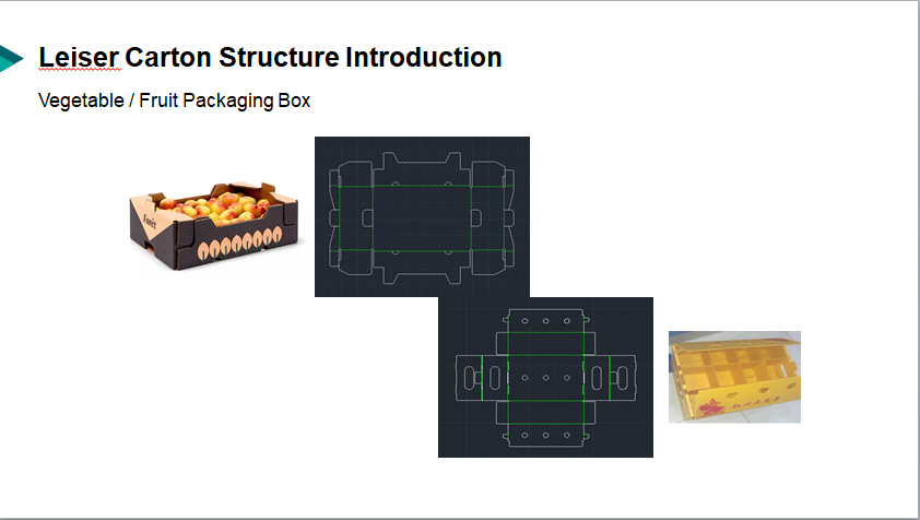OEM Custom Corrugated Carton Frozen Adapt Apple Subscription Box