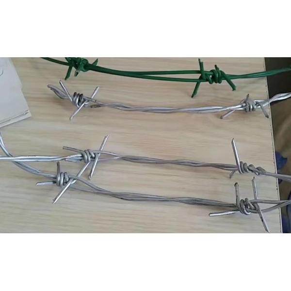 Very Common Type Galvanized Barbed Wire/High security, Durability and easy to install/SWG12, SWG14, SWG16, SWG18, etc