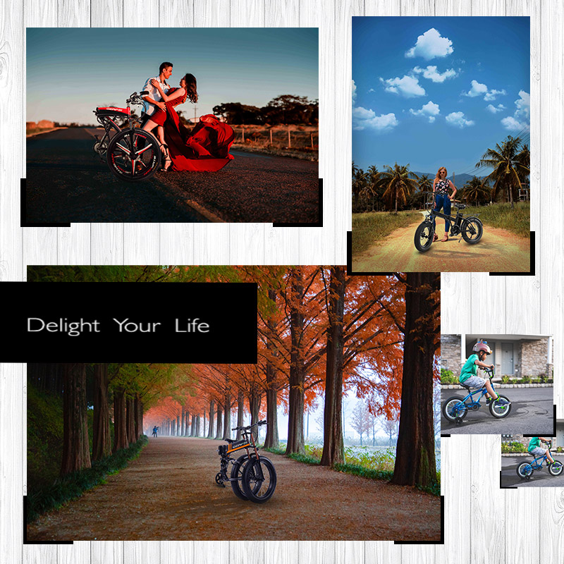 CE 20 Inch Foldable Electric Bike With Removable 48V 10AH L G Lithium Battery