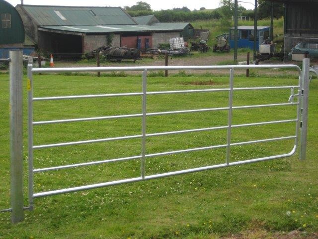 Livestock Cattle 1.6m Metal Farm Gate Galvanized Steel Pipe Design