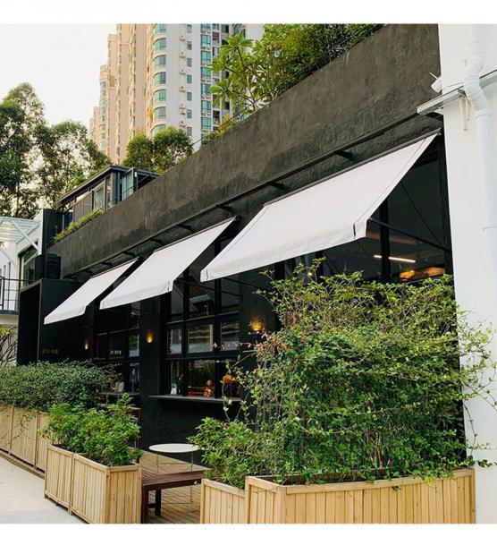 Aluminum Retractable Window Awnings Drop Arm Canopy