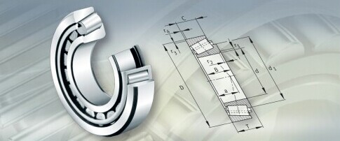 /NSK/NTN/Koyo Bearing 1205 1205k Self Aligning Ball Bearing