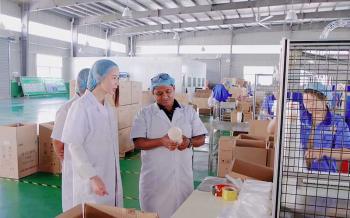 Pacqueen Industrial (Shanghai) Co., Ltd.