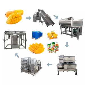 High Quality Customized Mango Juice Processing Machine Mangga/Mango Pulp