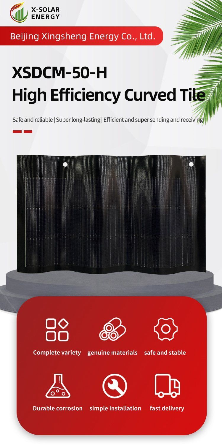 Bluesun Different Types of Solar Panels for Houses 50W Solar Panel Tile Double Glass Solar Tiles