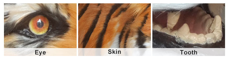 Amusement Park Realistic Animatronic Animals / Tiger With Remote Controller
