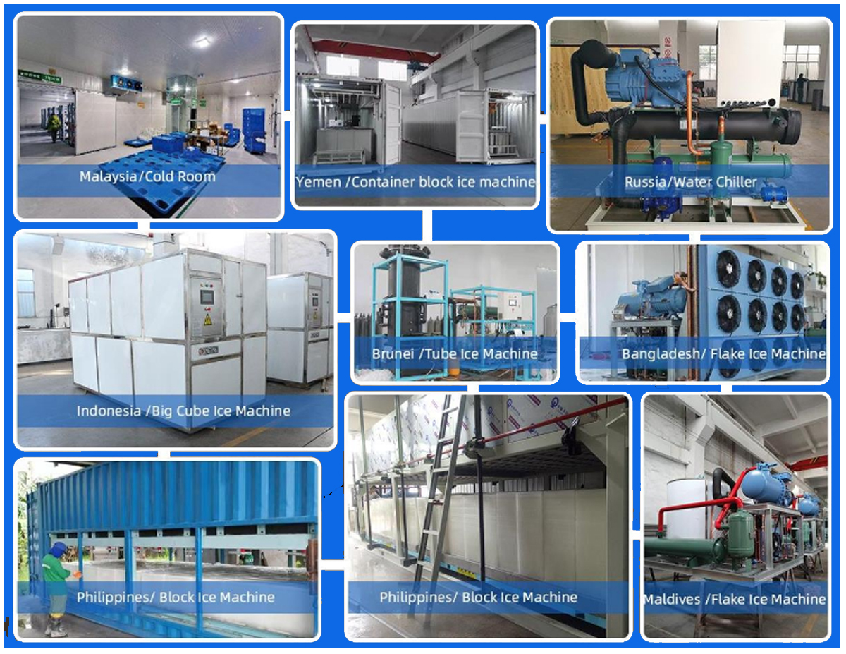 300kg/24h Output Cube Ice Maker Stainless Steel Suitable for Alcoholic Beverages