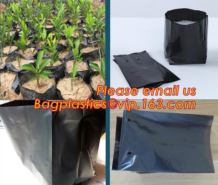 cultivating bags, 100% biodegradable various Wholesale Poly Black Square Garden Plastic Baby Flower Plant Nursery Poly B