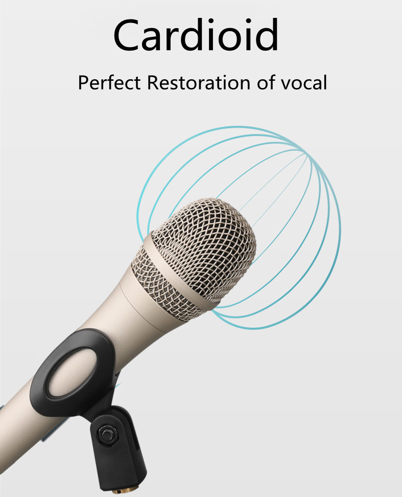 OEM ODM Home Studio Microphone 12mv/PA Karaoke Singing Mic