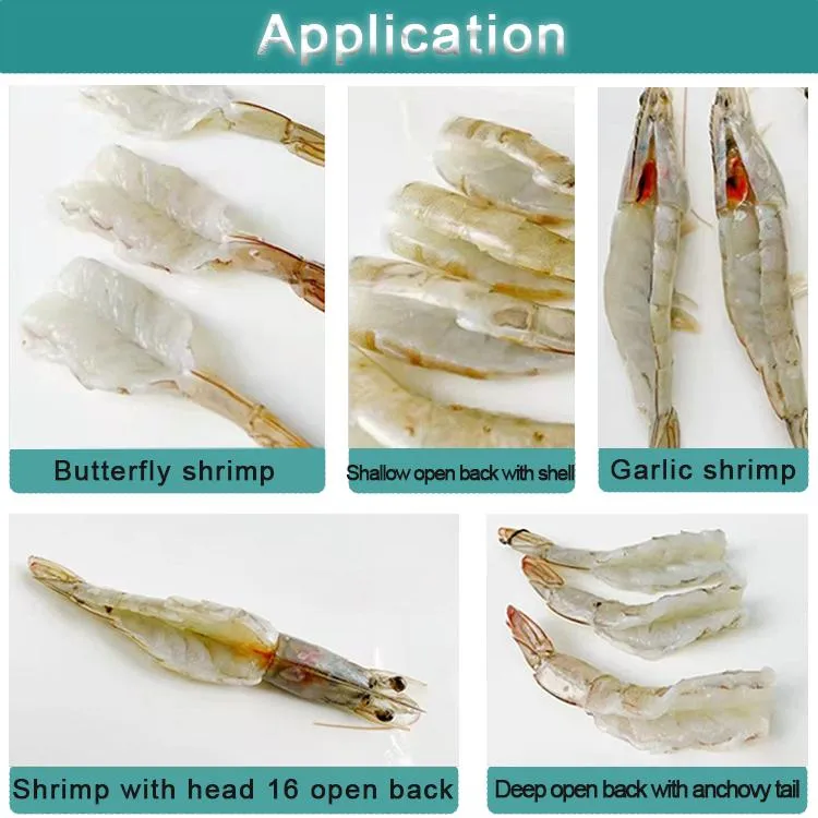 Semi Automatic Shrimp Open Back Machine Shrimp Shell Removing Peeling Machine Price