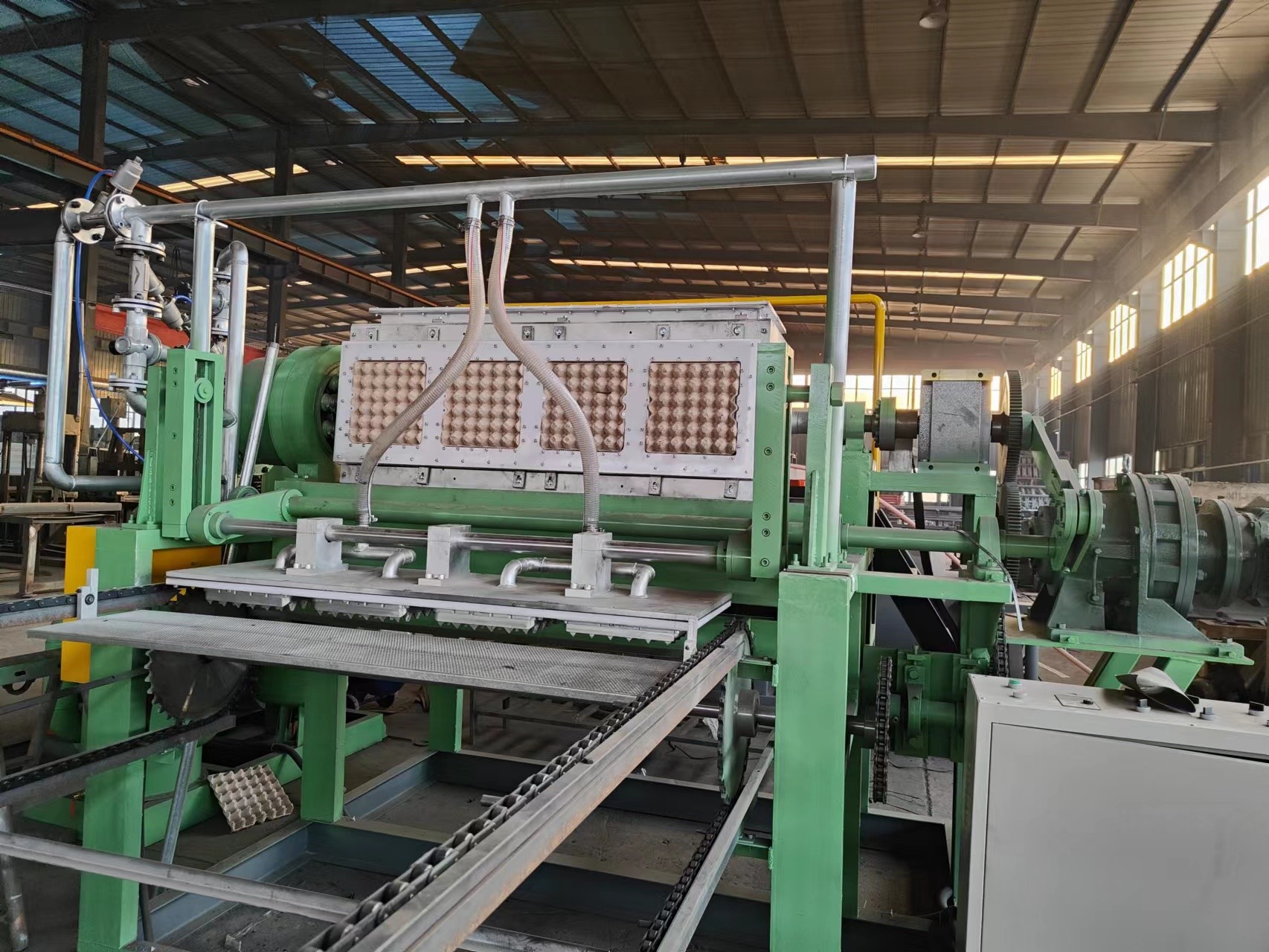 Efficient Apple Tray Making Machine With Frequency 50HZ For Smooth Production