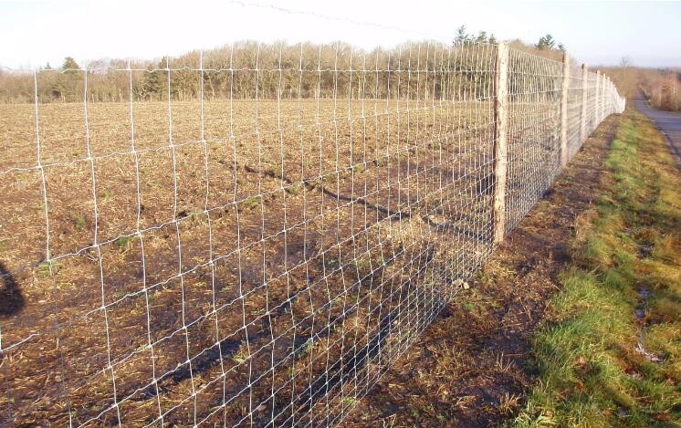 Hinge joint 50kgs/M2 50m Length Wire Cattle Fencing For Farm