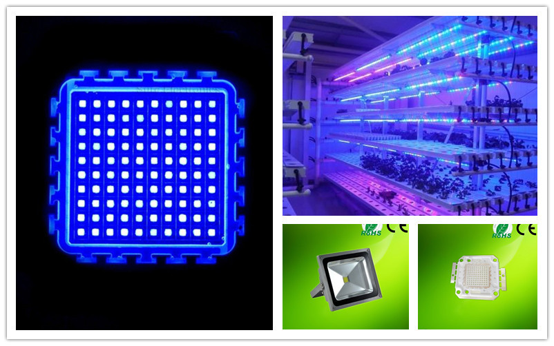 100w blue.jpg