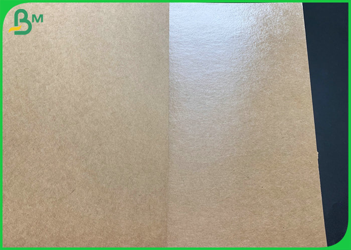 Oilproof 20gsm PE Coated 300gsm Kraft Paper For Disposable Lunch Box
