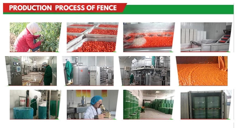 High Quality GMP 100% Natural Goji Berry Juice Concentrate goji juice concentrate extracting fresh juice goji berry