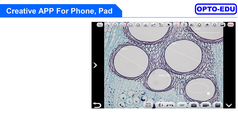 Digital 5G Usb Microscope Camera OPTO EDU A59.4972