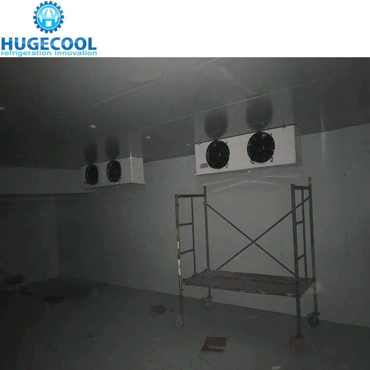prefabricated Modular cold storage for chicken meat and fresh fruits vegetable