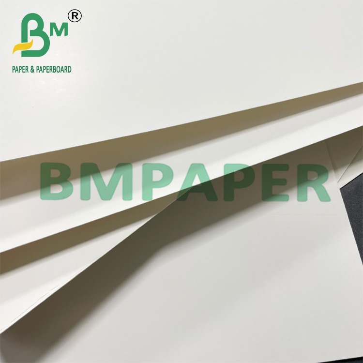250gsm 350gsm Food Grade C1S Coated Paperboard For Frozen Packing