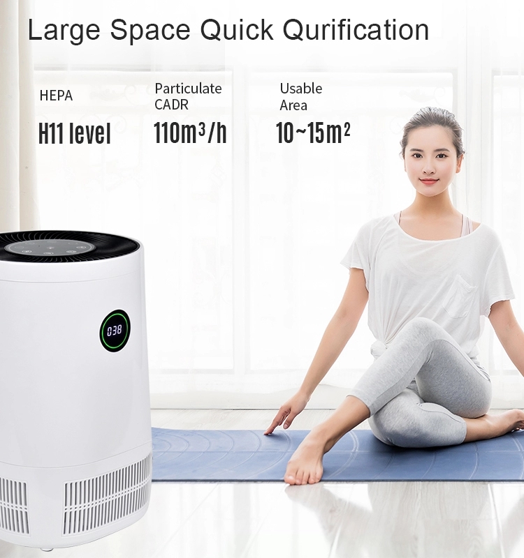 Portable Air Purifier for Home with H13 True HEPA & Active Carbon Filter, Desktop USB Air Cleaner with Filter Change