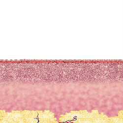 Fractional CO2 laser tube for skin resurfacing with RF pipe , glass pipe