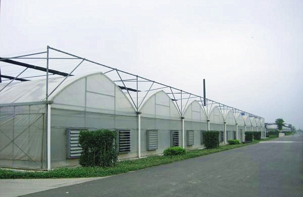 Transparent Greenhouse Strawberry Production , Anti Fog Plastic Film Greenhouse
