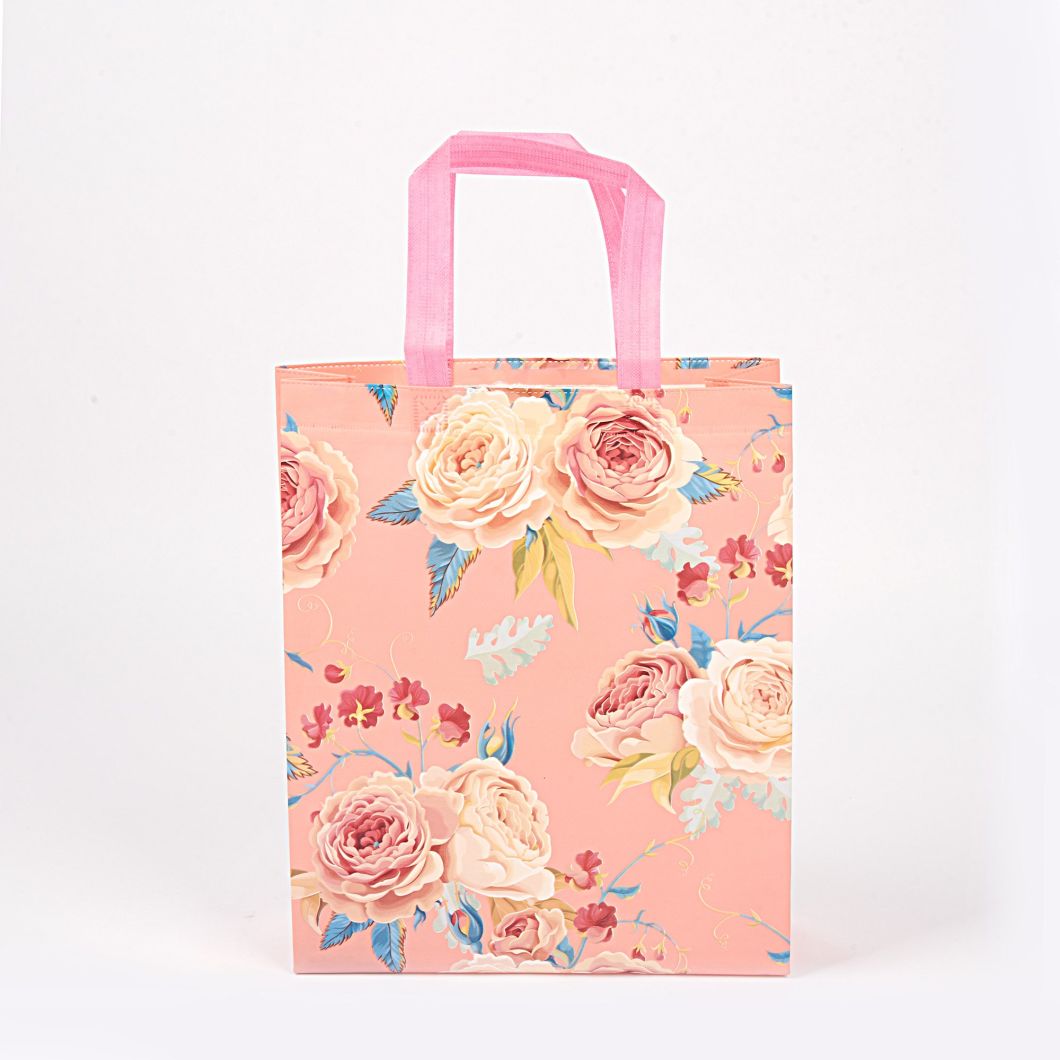 Hot Selling Fashionable Eco Friendly Reusable Non-Woven Shopping Bags