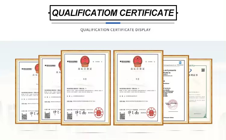 502156 BRH-BRLH seal kits Construction Machinery Equipment Standard Putzmeister Concrete Pump Spare Parts for Truck