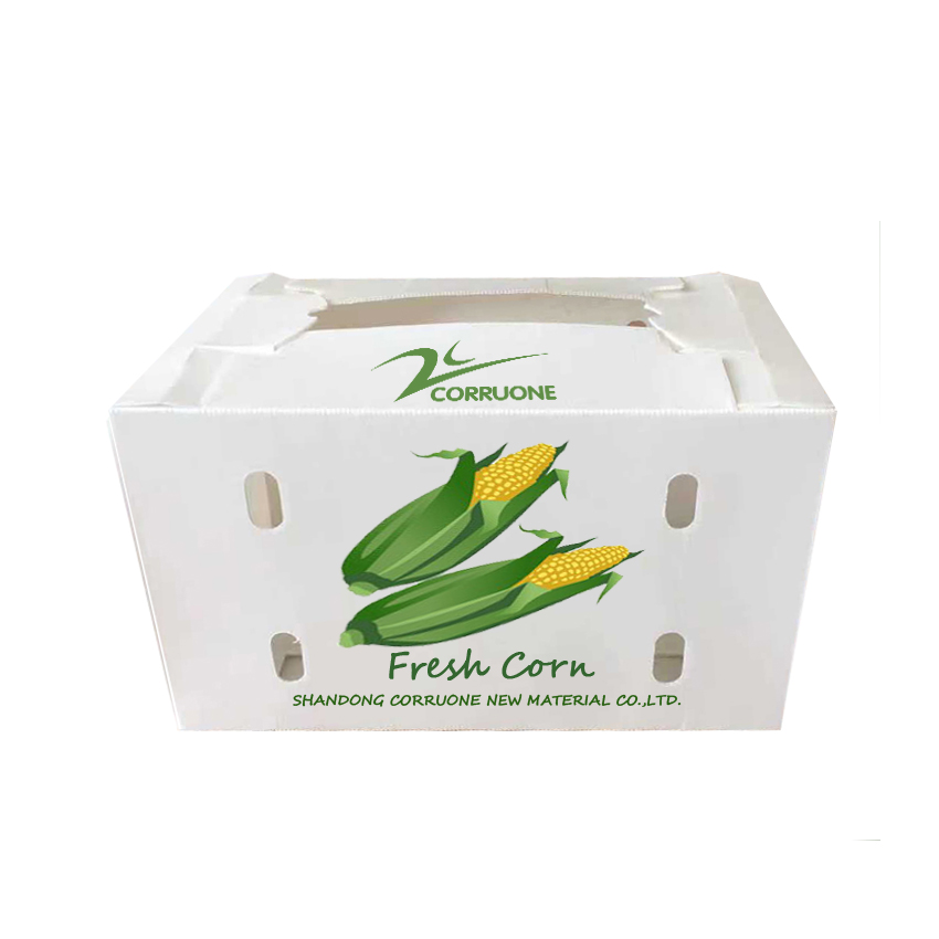 Corn Corflute Box Vegetable Corrugated Boxes Recyclable Custom Size