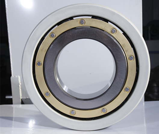 NJ Series Stainless Steel Cylindrical Roller Bearing NJ202 NJ203 NJ204 NJ304