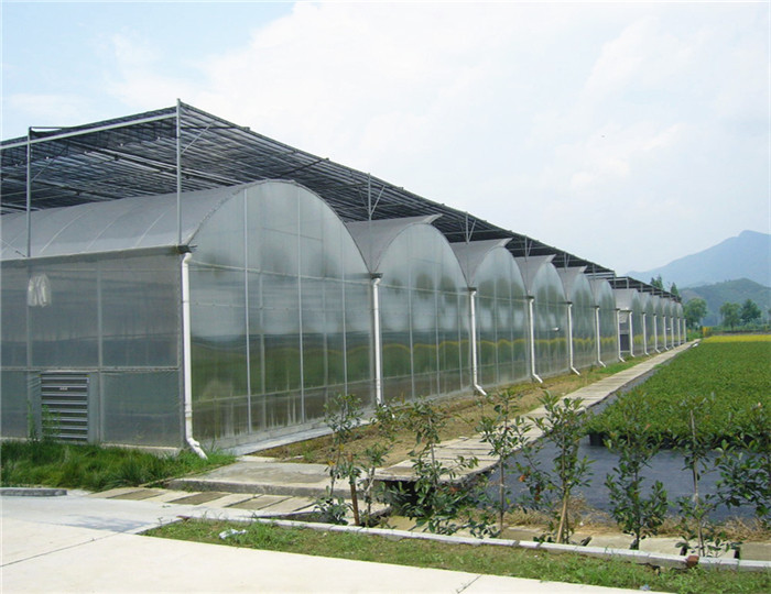 High Output PC Sheet Greenhouse Nine Systems Combined For Flower Growing
