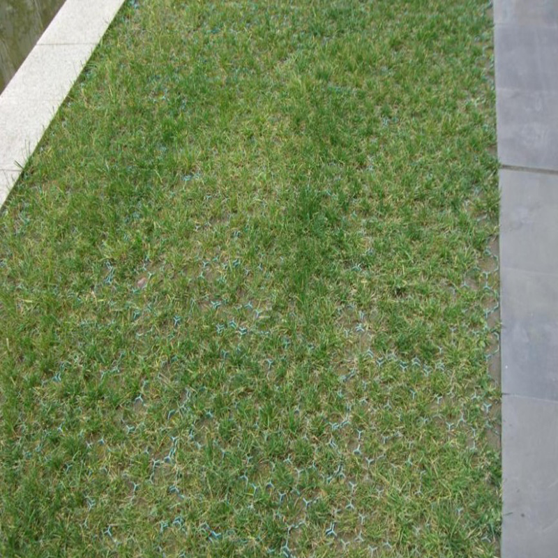 Height Green HDPE Plastic Planting Grass Paver Grid with CE/ISO9001/ISO14001 Certificate