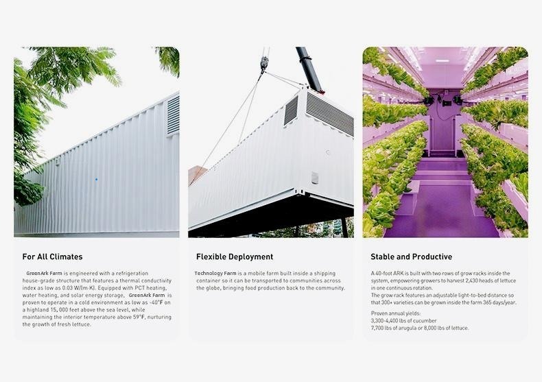 Juxiang OEM Living Vegetable Hydroponic Culture 100 Kg Daily Vegetable Growing Room Hydroponic Germination System Solar Energy