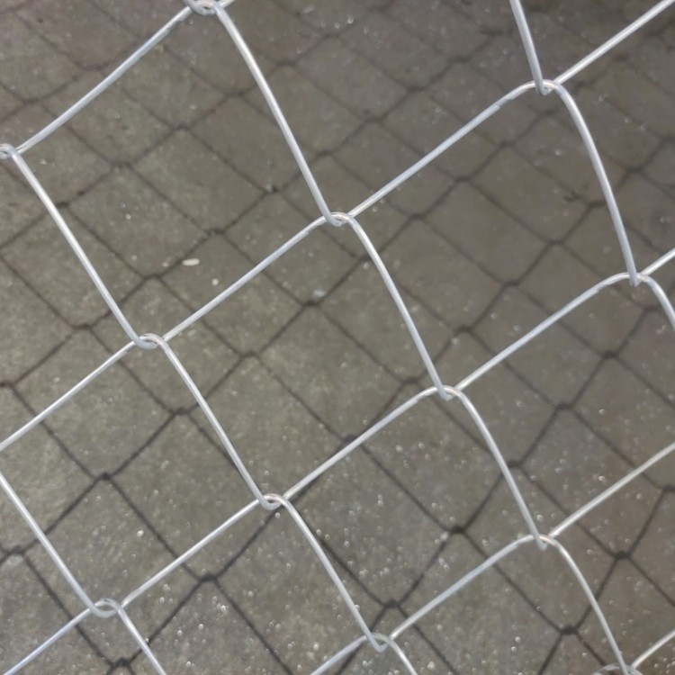 Wire Mesh Roll Fence Galvanized hook Pvc Coated Fencing Galvanized chain link fence