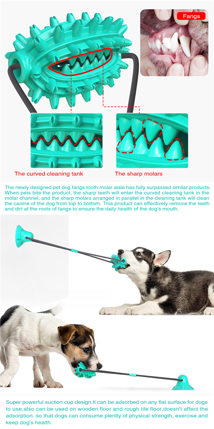 Teeth Cleaning TPR Dog Toothbrush Toys With Elastic Interactive Toys Pet Products