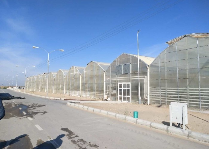 3mm 4mm 16mm 10mm Hollow Galvanized Polycarbonate Greenhouse With Growing System In Turkmenistan