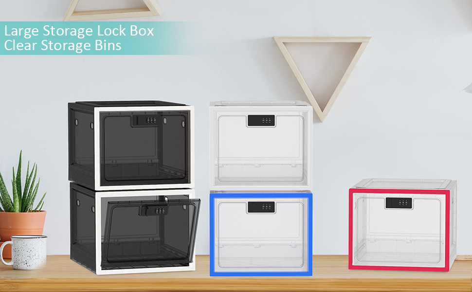 Large Lock box for Medicine