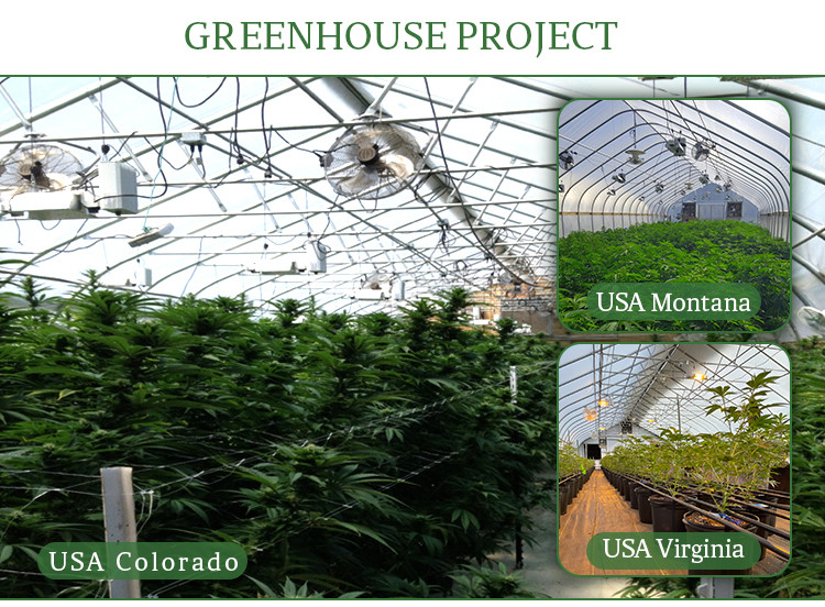 Portable Hot Dip Galvanized Steel Auto Light Dep Greenhouse For Herb