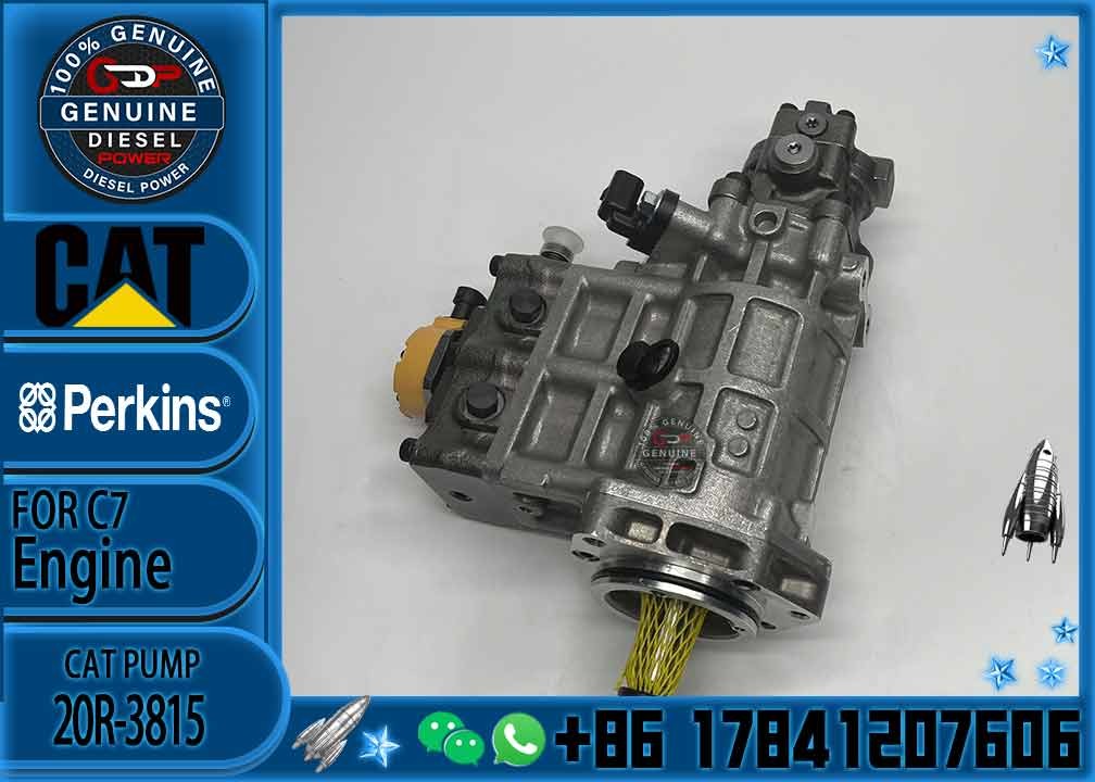 Factory Custom Excavator Spare Parts E320d Cat Engine Parts C6.4 Diesel Engine Fuel Injection Pump 368-9171 20R-3815