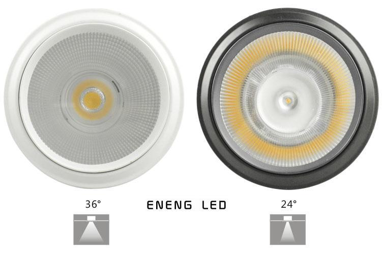 high lumens 85LM/W E27 12W led par30 spot light with cob led led par30 light Track lamp to Replace 50W metal halide