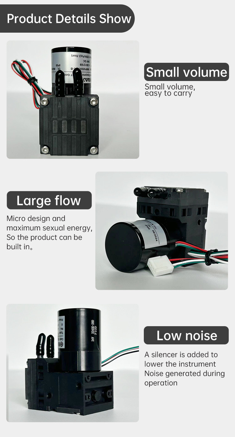 Oil Free Diaphragm Vacuum Pump Adjustable Positive And Negative Pressure Portable Laboratory Air Pump Small