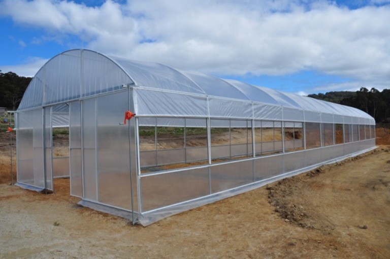 100 Micron PE Film Greenhouse Single Layer Plastic Tunnel Greenhouse